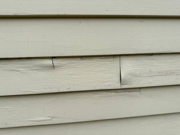 Affordable siding repair and maintenance services in Nicholls, GA