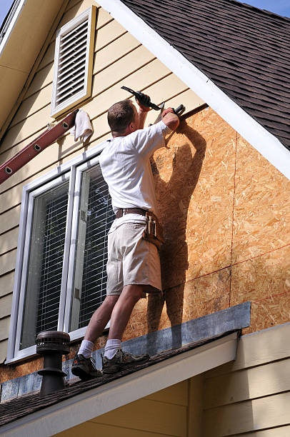 Best Siding Removal and Disposal  in Nicholls, GA